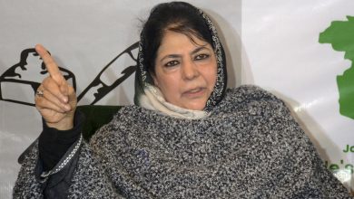 Mehbooba Mufti demands release of Aasiya Andrabi